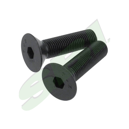 FLAT HD. SOCKET CAP (3/8-24X1-1/2) , 10