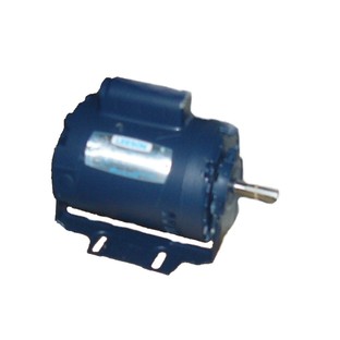 Motor 1/3hp 115/220